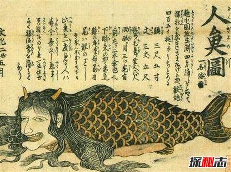 古代真正的美人鱼图片