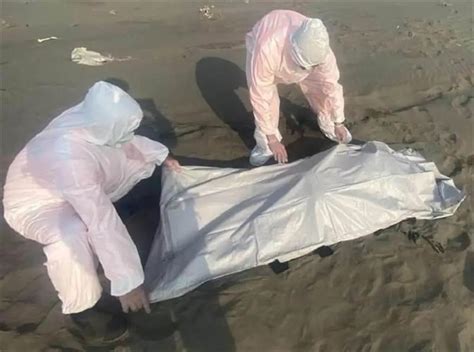 台媒台湾沿海浮尸增至20具