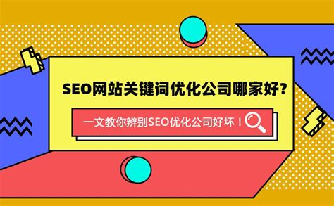 台州seo服务公司排名