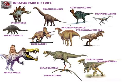各种恐龙的英文