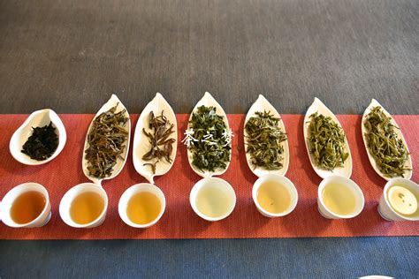 各类茶的主要养生功效