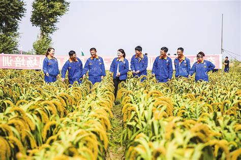 吉林省农业技术推广网