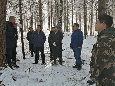 吉林省林业和草原局出台林场政策