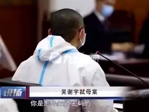 吴谢宇在法庭上说的话