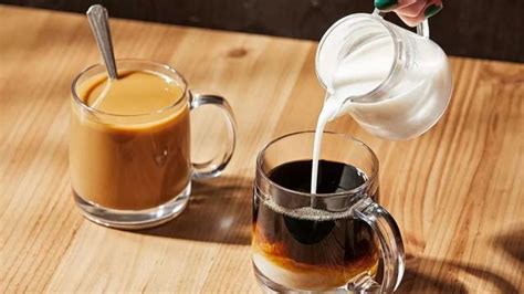咖啡加牛奶的最佳搭配