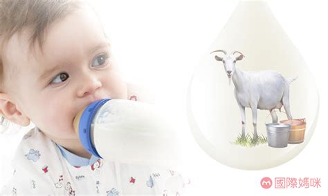 哪种婴儿羊奶粉最好最安全