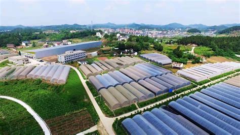 四川农业科技项目