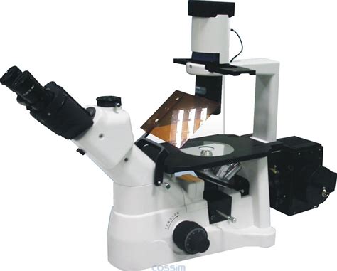 国产倒置荧光生物显微镜价格