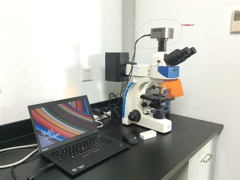 国产多功能荧光显微镜价格