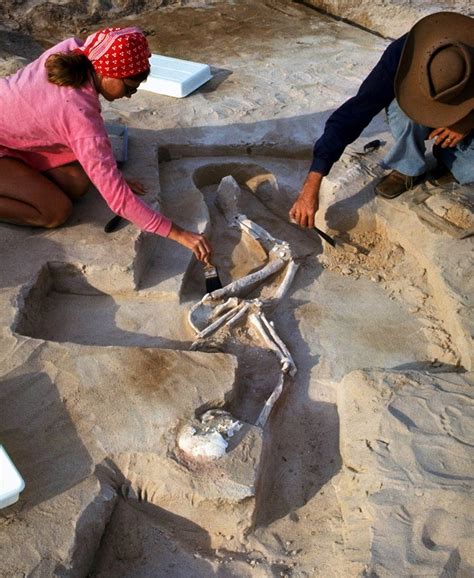 国外发掘远古人类遗骸