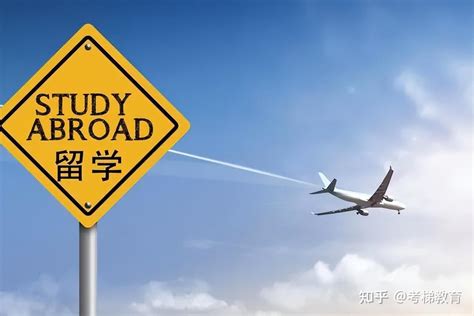 国外留学可以考哪些选调生