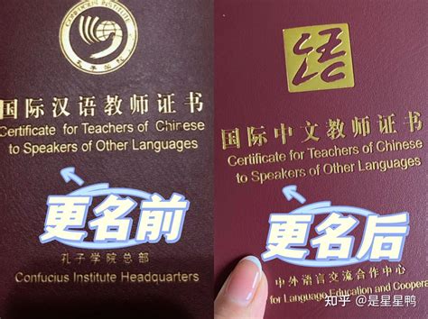 国际中文教师证书报名费