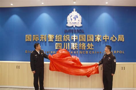 国际刑警组织中国区