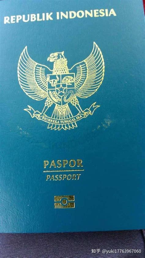 国际学校外国护照