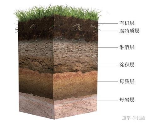 土壤表观描述