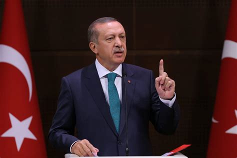 土耳其总统埃尔多安谈公正立场