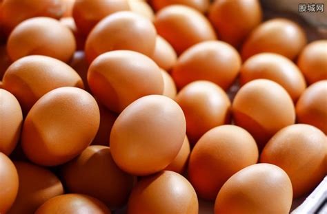 土鸡蛋价格多少钱一斤