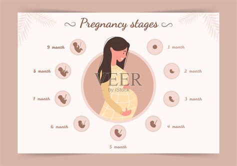 在哪个阶段容易怀孕