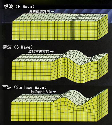 地震的横波和纵波的区别