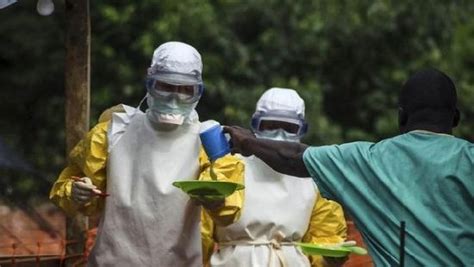 埃博拉病毒目前在中国有发现吗