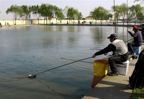 城市河道下网捕鱼违法吗