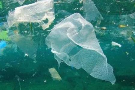 塑料可以停留多少年