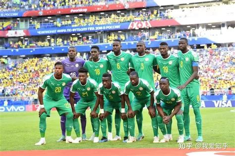 塞内加尔足球世界排名