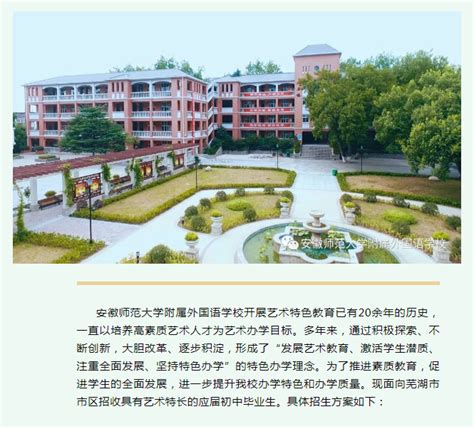外国语学校安徽芜湖