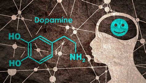 多巴胺过高是精神病吗