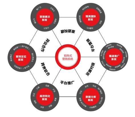 大岭山seo矩阵营销系统