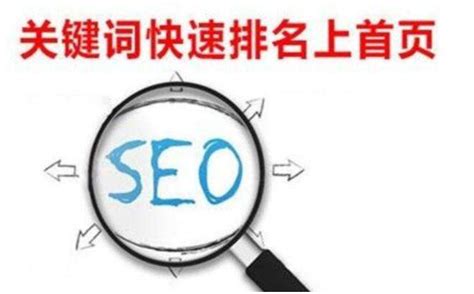大渡口seo搜索排名优化方案