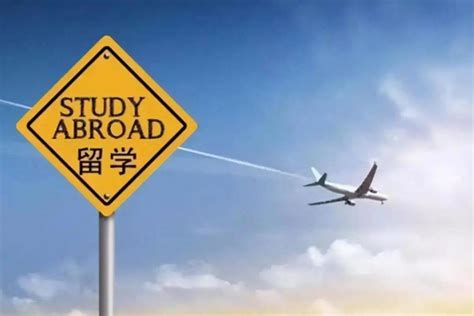 天津市里哪个学校高中能出国