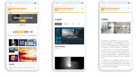 天津电子商业网站建设