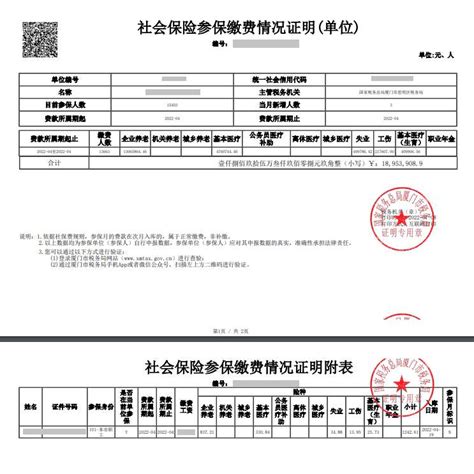 天津社保完税证明怎么打印