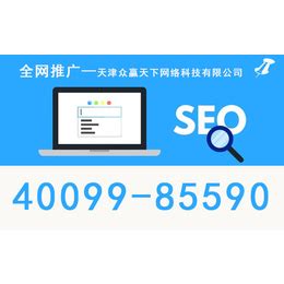 天津网站优化指导
