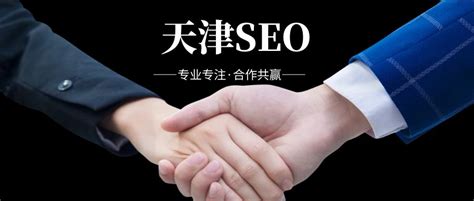 天津seo网络优化的公司