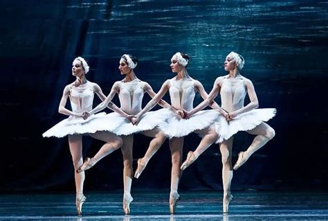 天鹅湖芭蕾舞是谁创作的