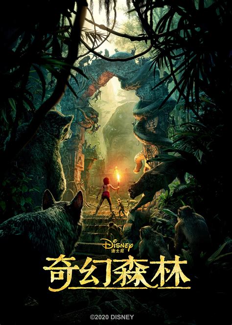 奇幻森林电影完整中文版