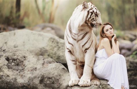 女人梦见老虎是什么预兆