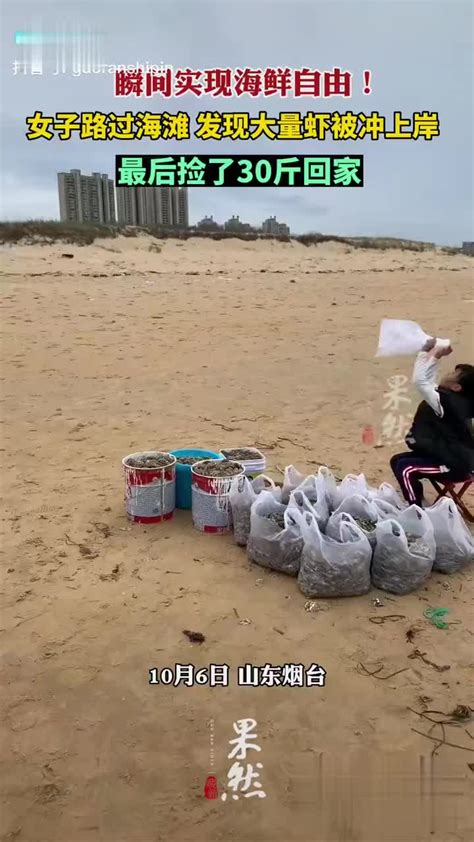 女子从沙滩捡30斤虾
