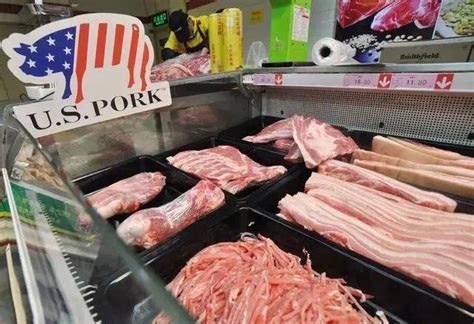 如何从美国进口猪肉