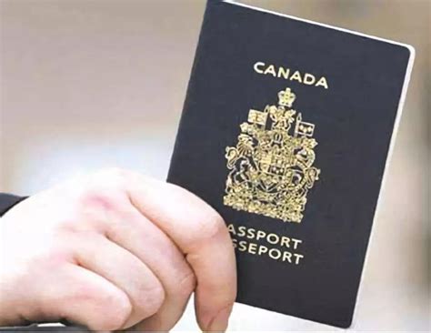 如何找中介办理加拿大陪读签证