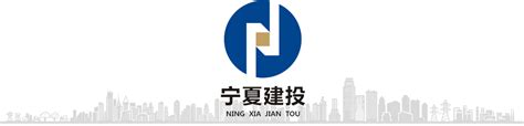 宁夏网站建设品牌公司