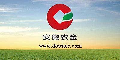 安徽农金电子网上银行