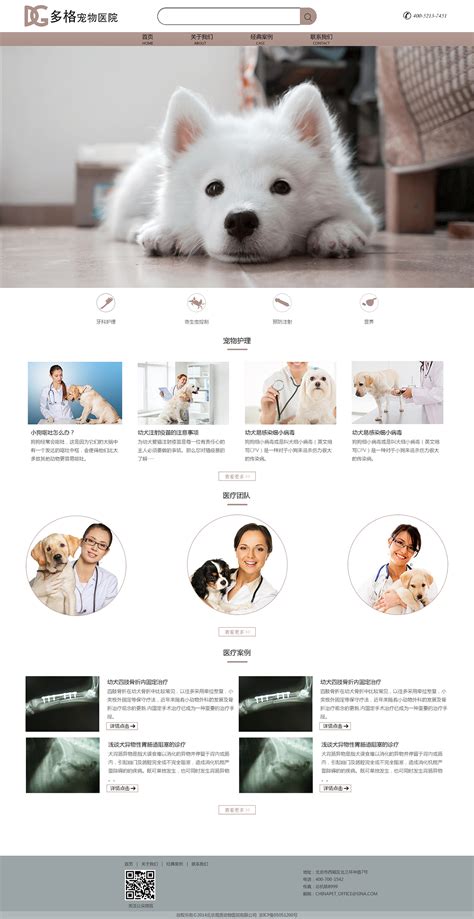 宠物医疗网站设计与实现