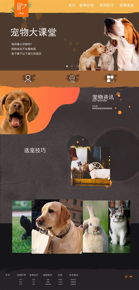 宠物店网站的设计模板