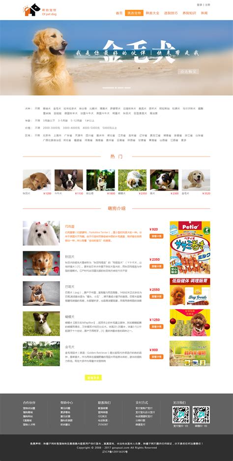宠物狗网站设计推荐大全
