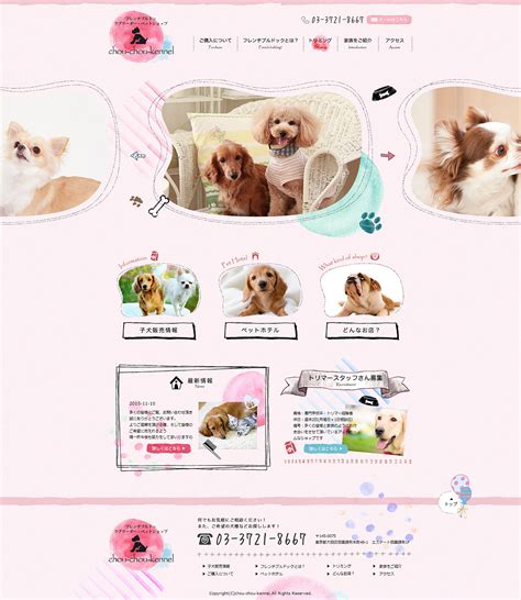宠物用品店的网页设计方案
