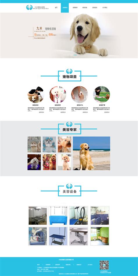 宠物网站设计流程图