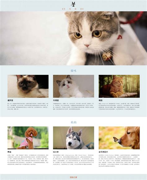 宠物网站页面设计模板代码